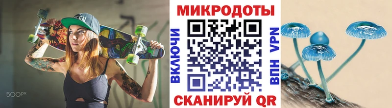 Купить закладки  Курлово  Псилоцибиновые грибы GOLDEN TEACHER 
